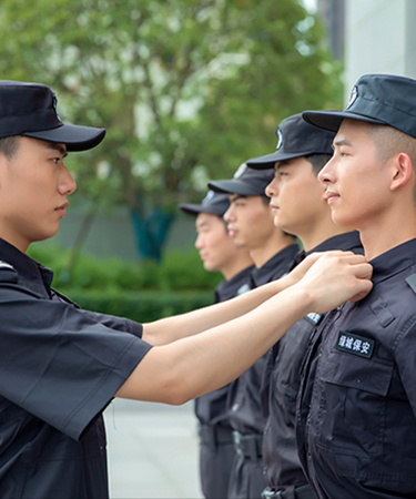绿城咨询
