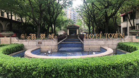 绿城咨询