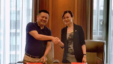 绿城咨询