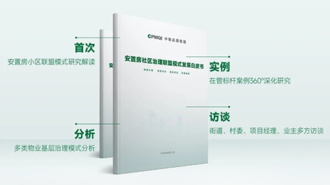 绿城咨询