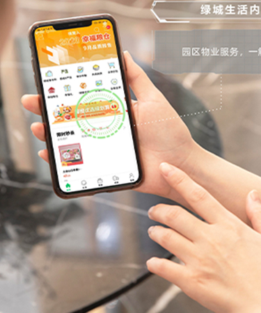 绿城咨询