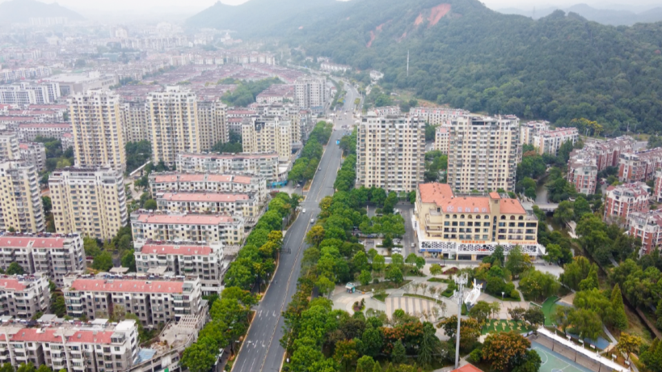 绿城咨询