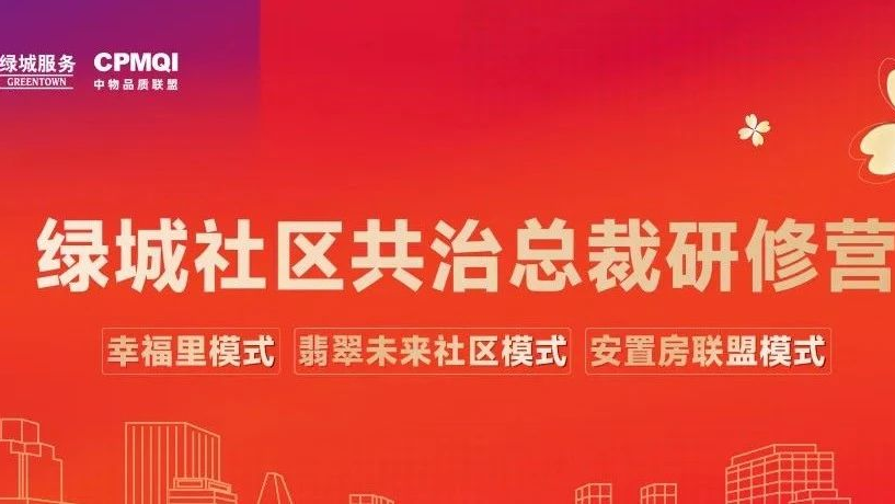 绿城咨询