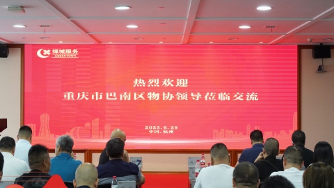 绿城咨询
