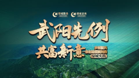 绿城咨询