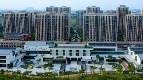 绿城咨询