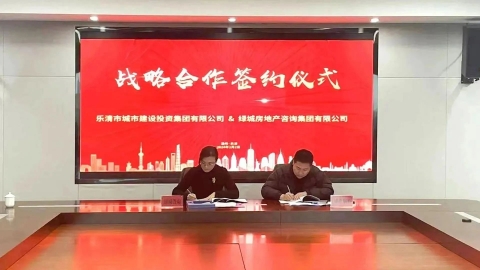 绿城咨询