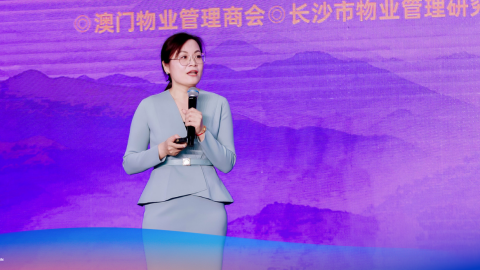 绿城咨询