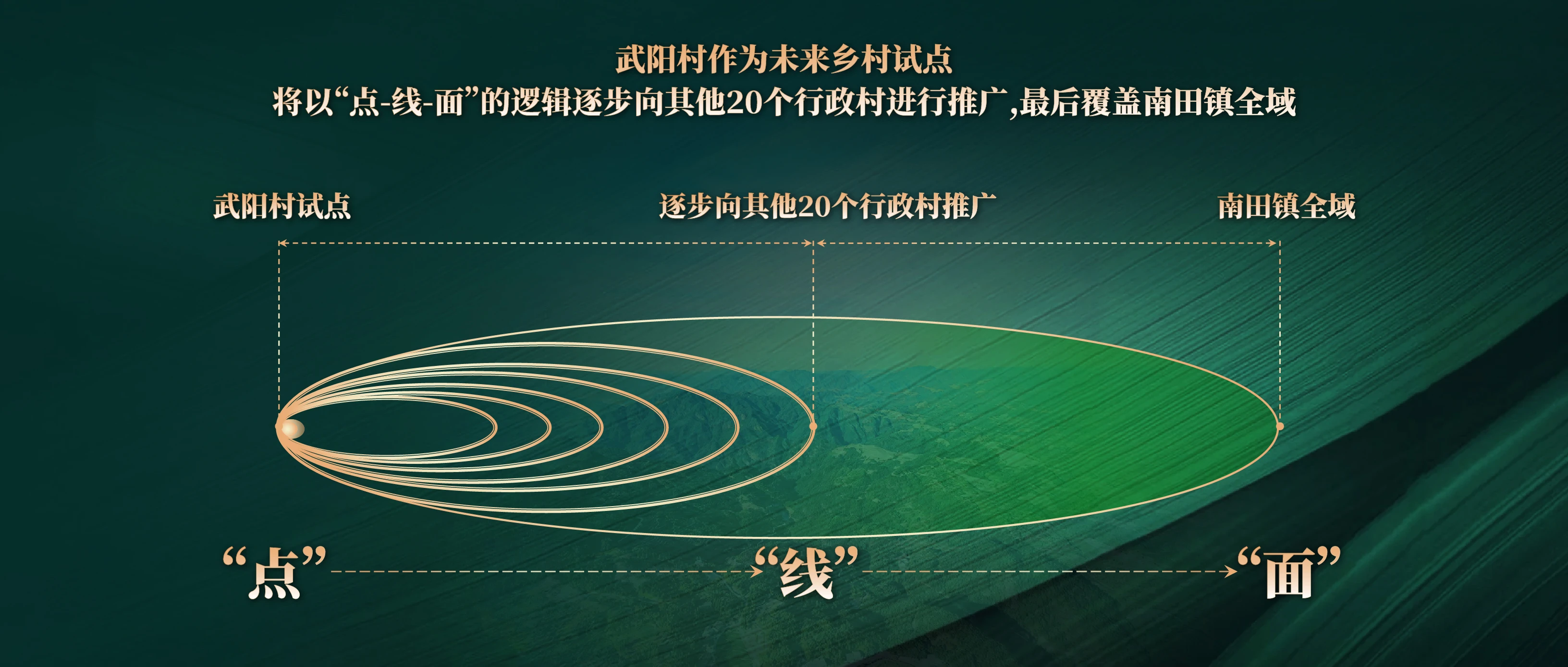 武阳村 视频_画板 1 副本.webp