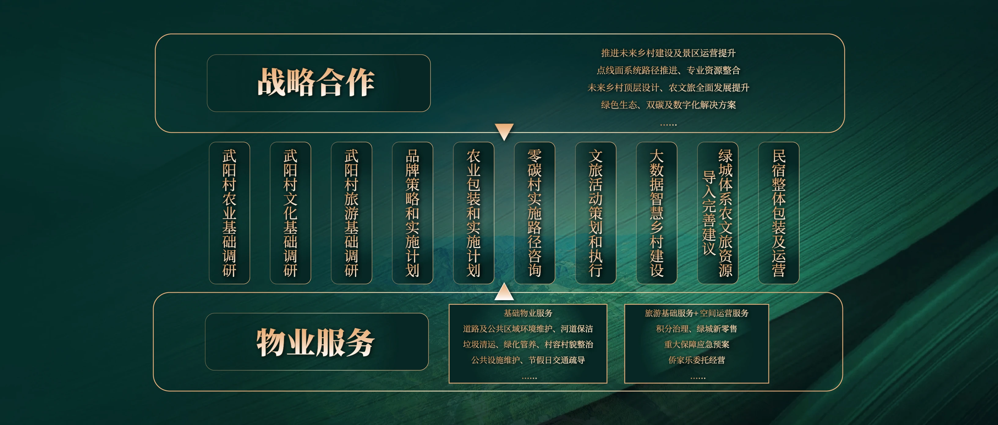 武阳村 视频_画板 1 副本 5.webp